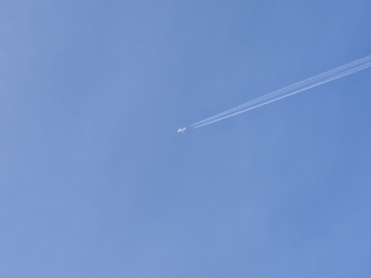    Фото: Юрий Серебренников/BFM Кубань