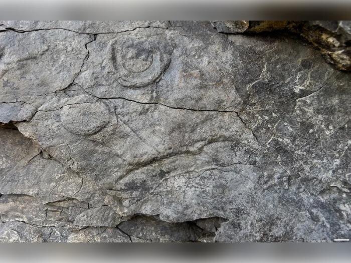     Фото: Пресс служба РНФ / Колесников