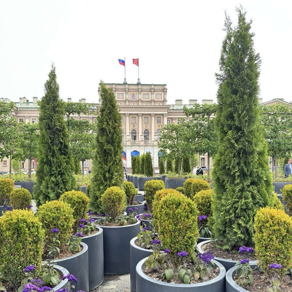 сад-трансформер