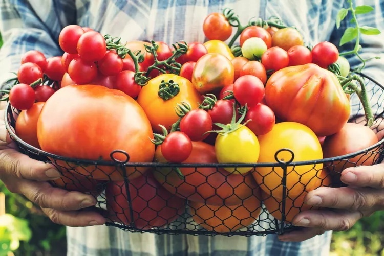 Не только вкусные, но и полезные!