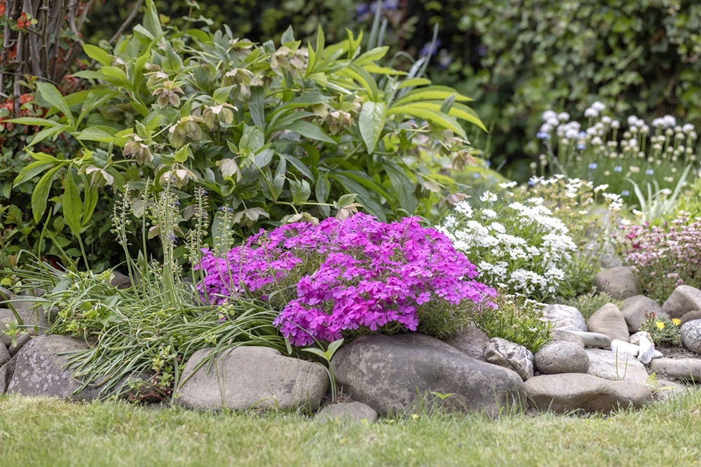    Клумба из камней своими руками. / Фото: iStock