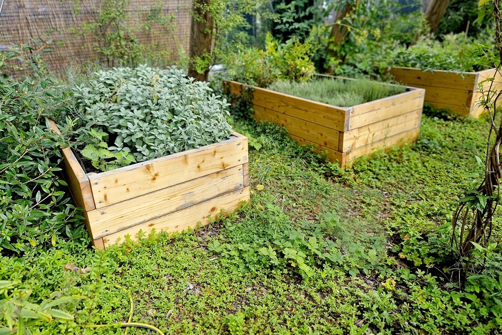    Клумба из досок своими руками. / Фото: iStock