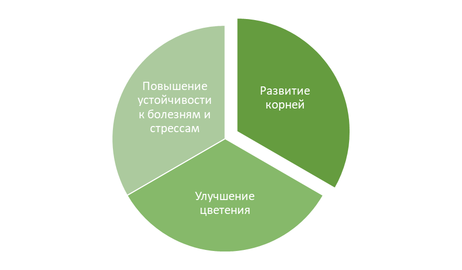 Польза фосфора для гортензии
