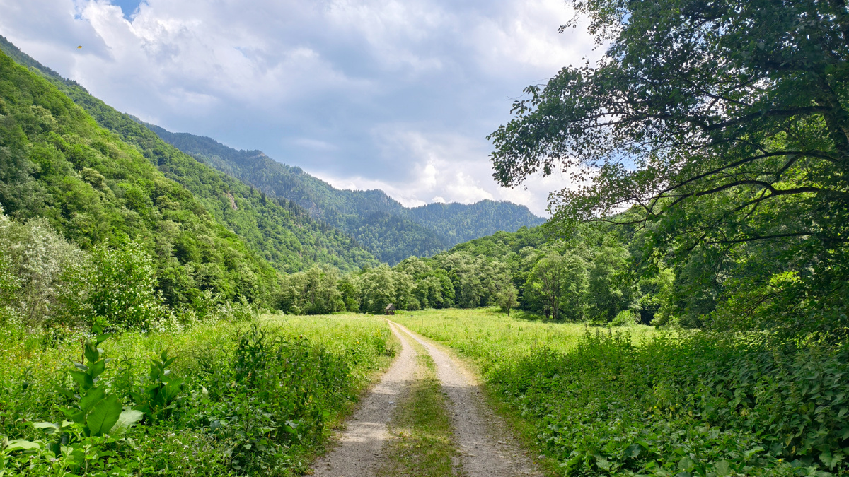 В первый день широкая пологая тропа