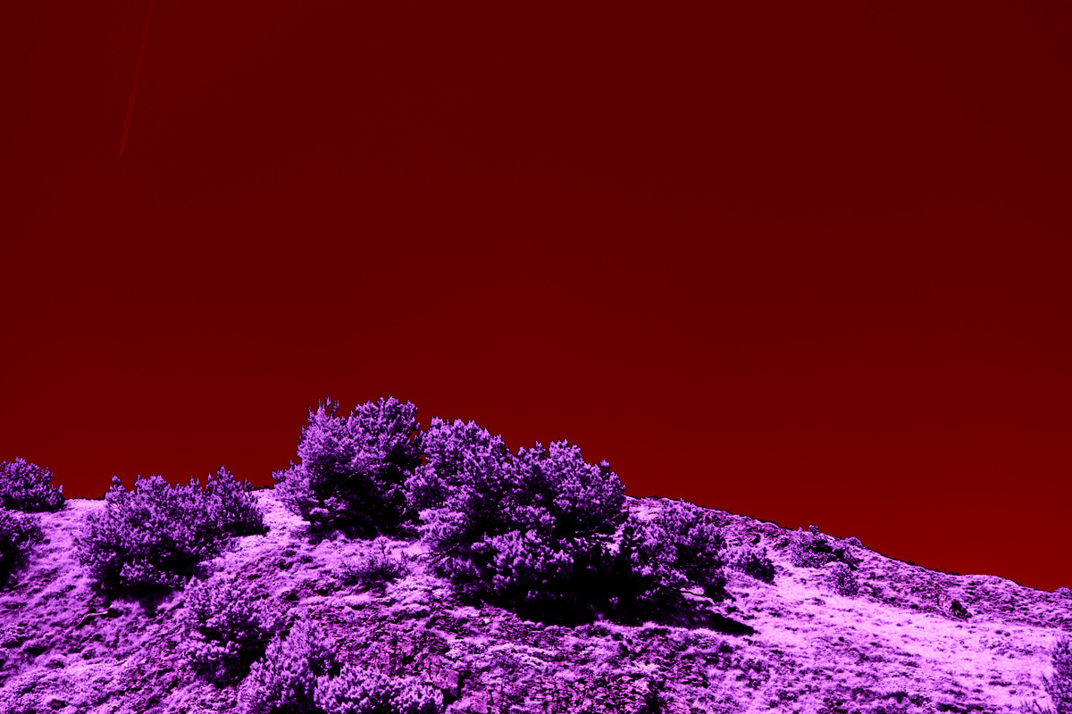 Картинка с бесплатного фотостока https://unsplash.com, автор Wolfgang Hasselmann