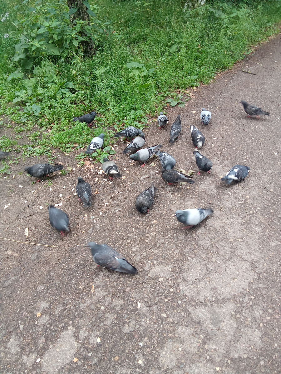 Фото автора.