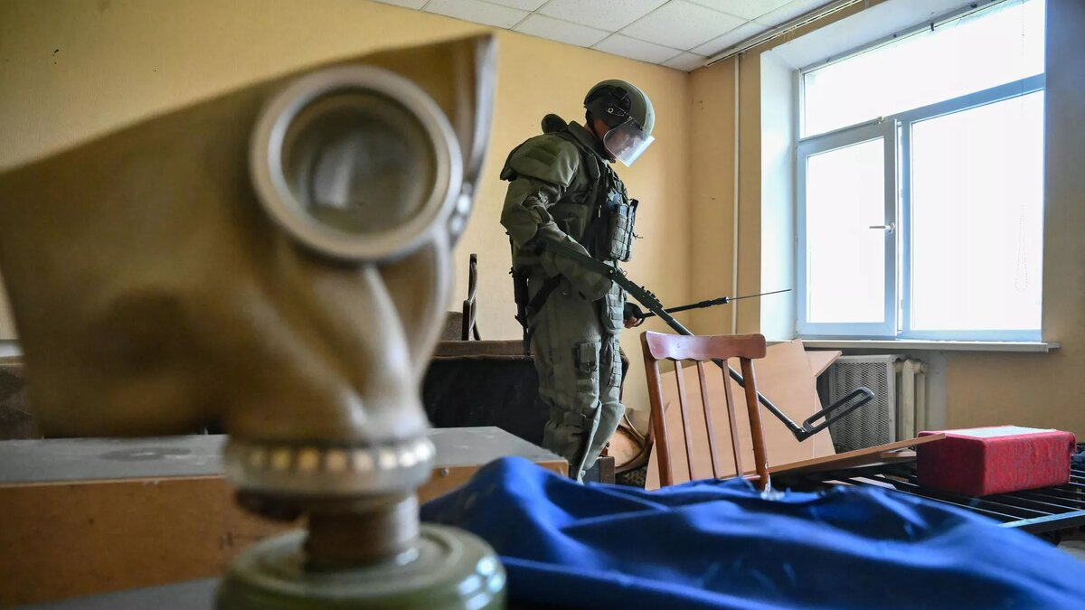 Зона СВО / © Sputnik / Илья Питалев 