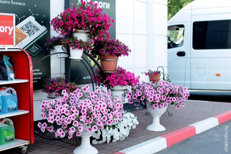    Такую композицию создали на заправке на Октябрьском, 29.