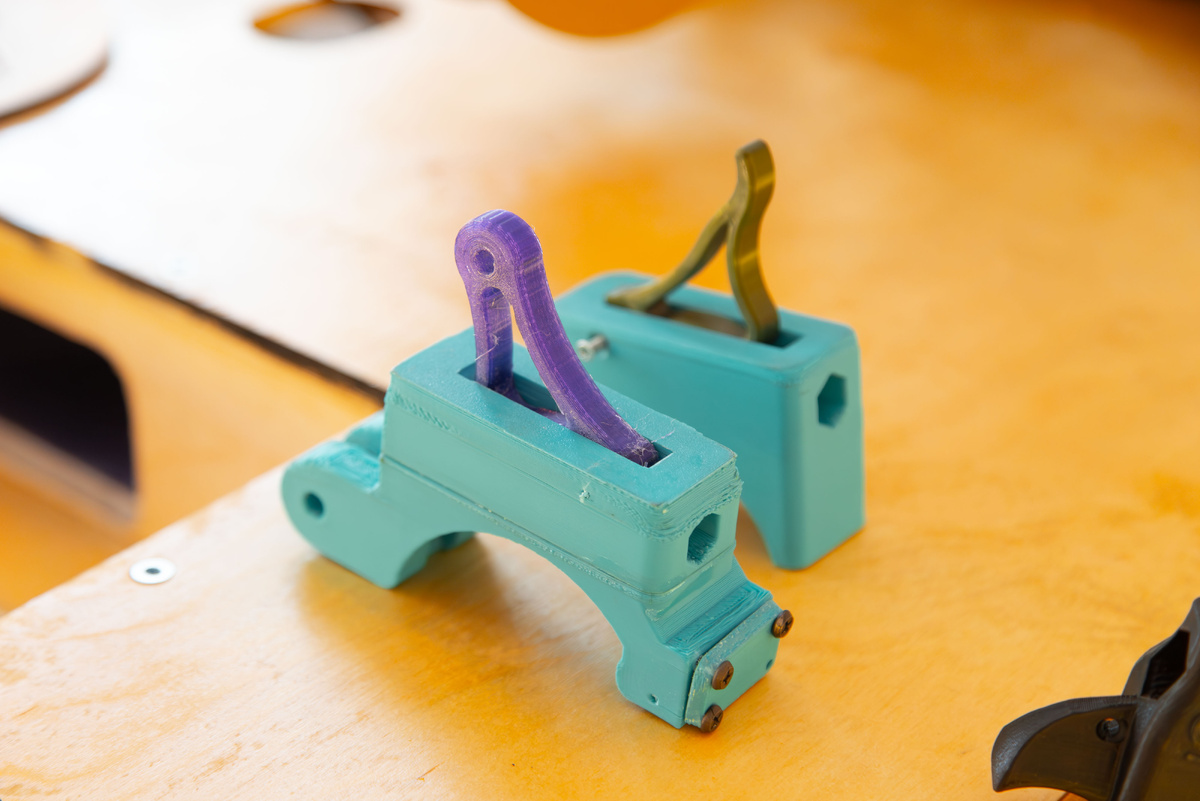    Фото: Пресс-служба ФГБОУ ВО «Алтайский государственный аграрный университет»