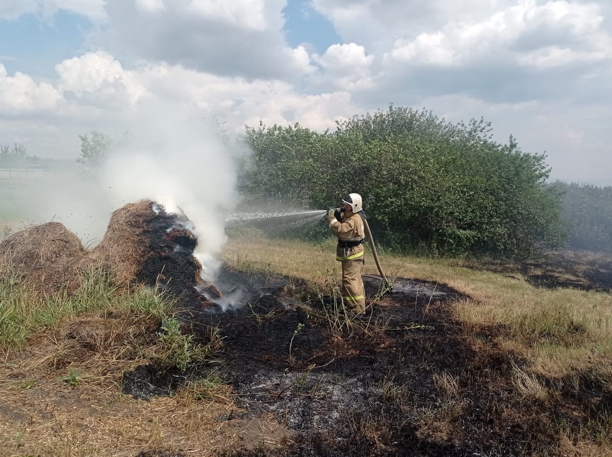Фото: Противопожарная служба Курской области