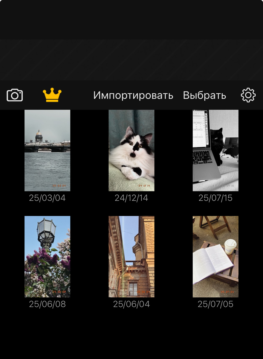 Галерея 1998 Cam