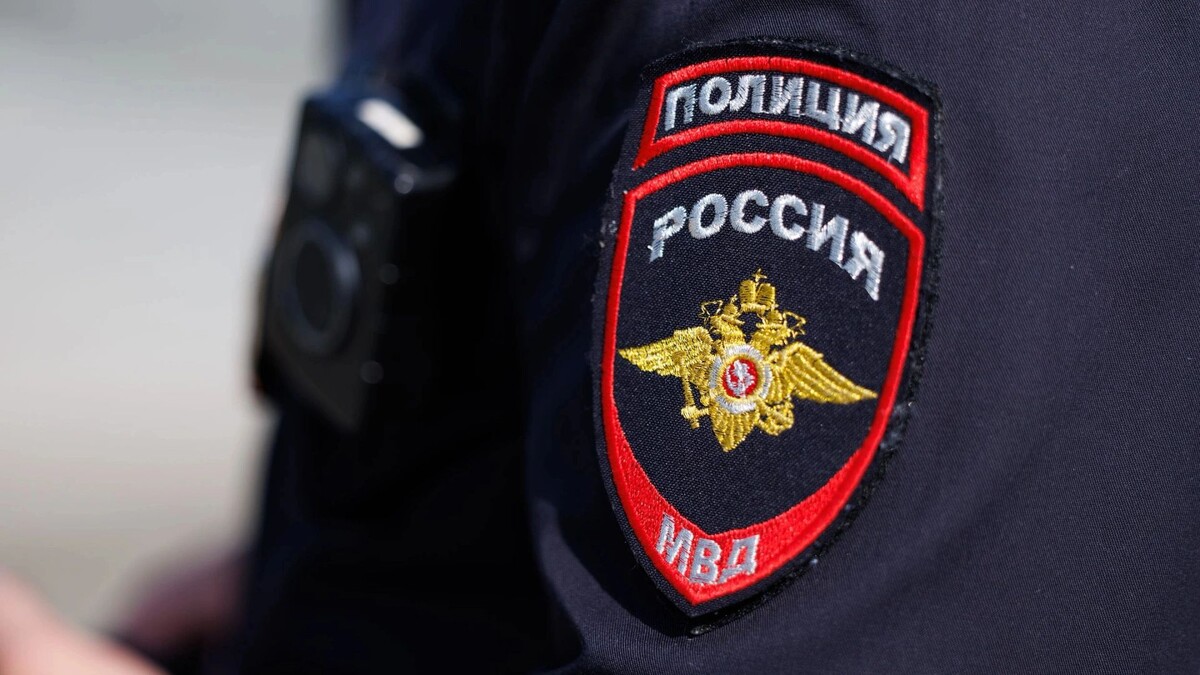    Фото: Юлия Чудинова/«Ямал-Медиа»