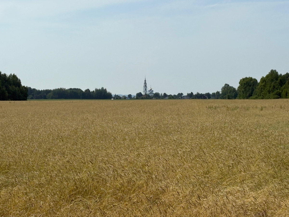 Фото автора канала