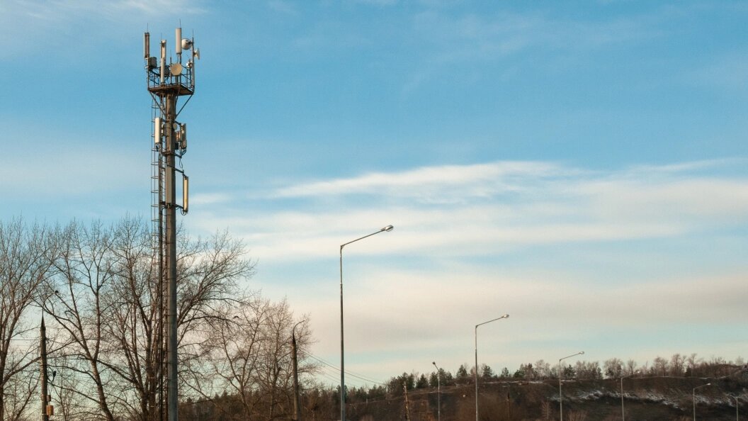    Фото: Svetlana Vozmilova/Globallookpress