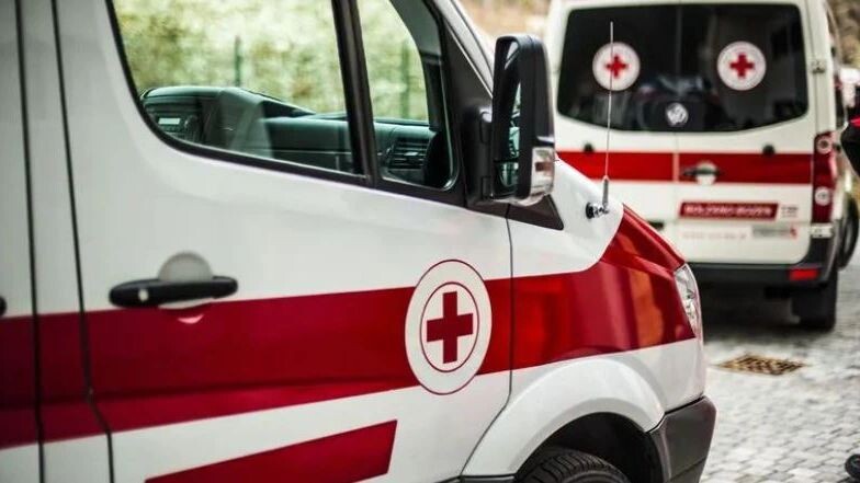    Фото: pixelaway/Shutterstock/Fotodom