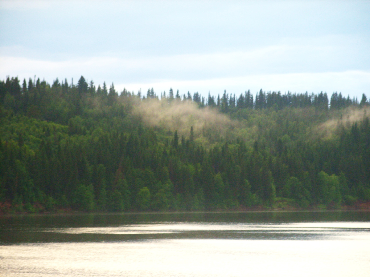 Кама с борта теплохода, 2008 г.