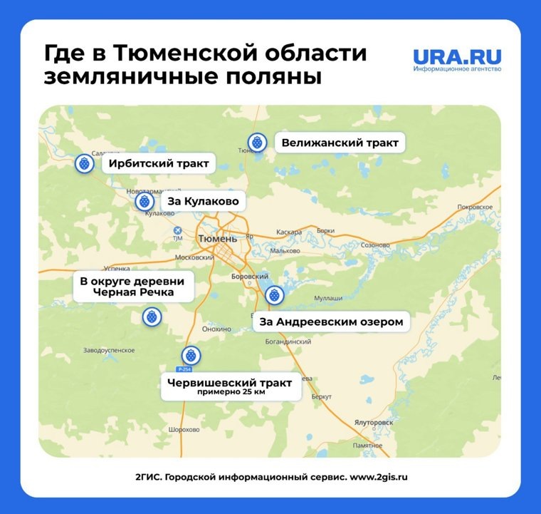 Карта ягодных мест в окрестностях Тюмени. Фото: URA.RU