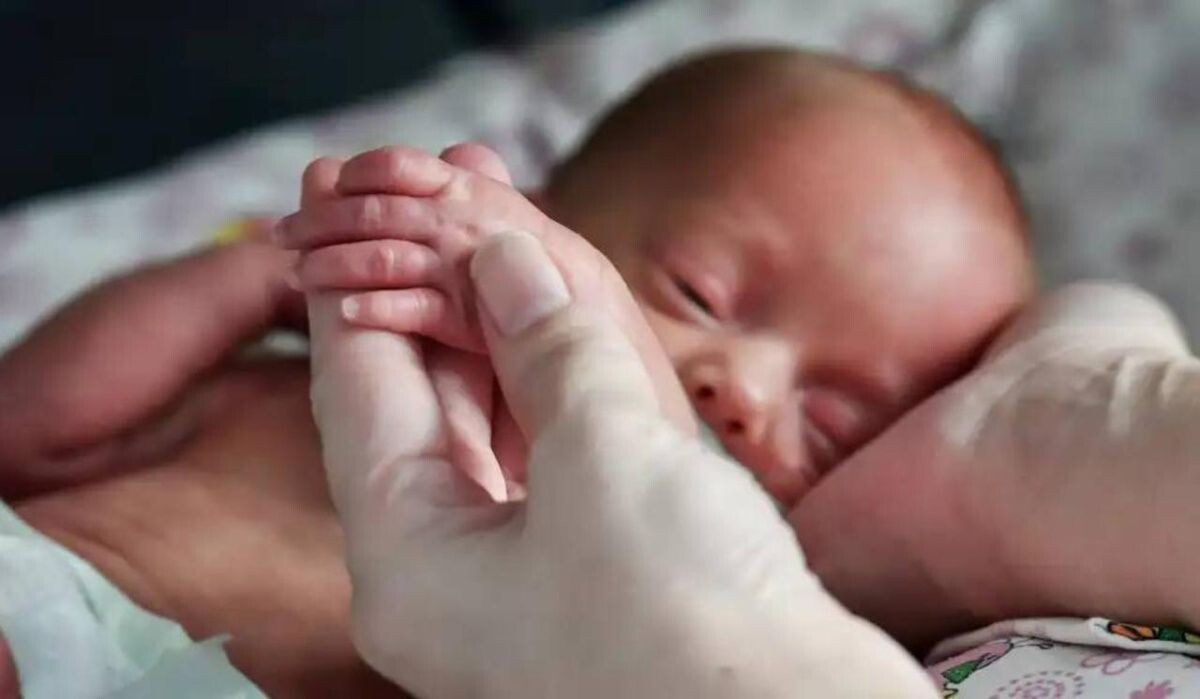     Малыш и руки мамы. Источник: ria.ru Автор фото: Григорий Зимарев