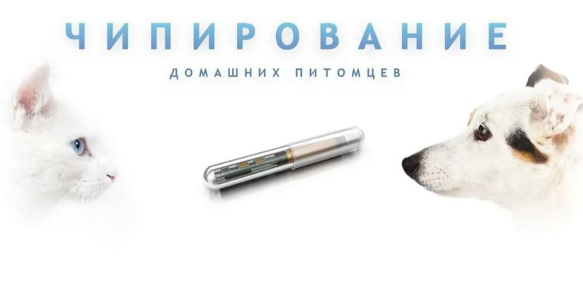 Чипирование