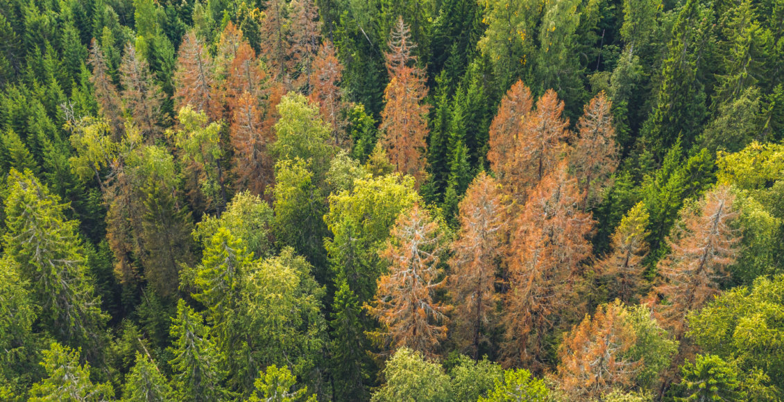    Фото: Минприроды