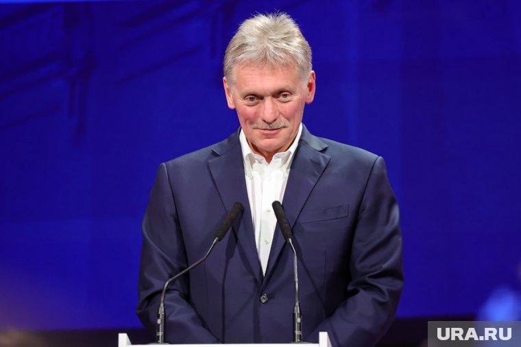    Озабоченность Дмитрия Медведева понятна,, заявил Песков