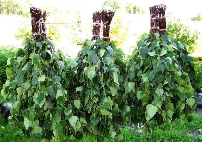Березовые веники – классика русской бани