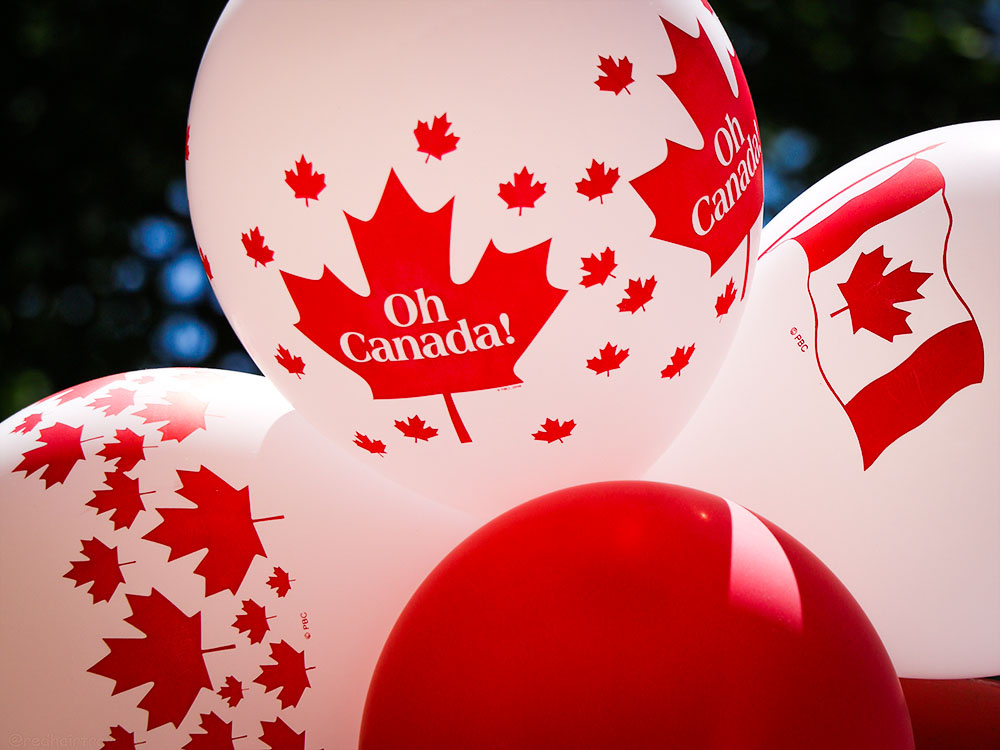 Все варианты обучения в Канаде - в этом обзоре! 