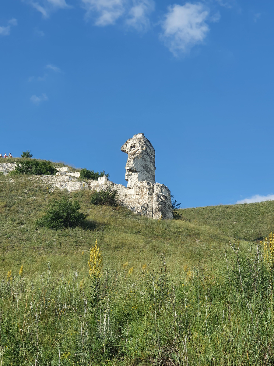 Природные виды заповедника