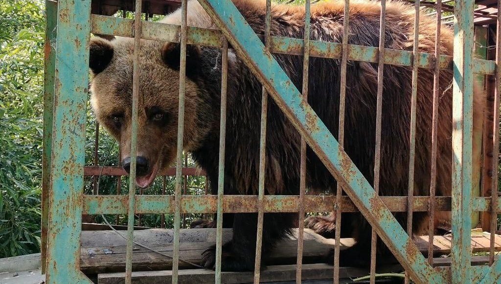    Фото: Росприроднадзор