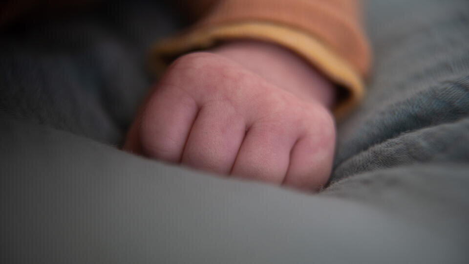 Фото: © www.globallookpress.com/Sebastian Gollnow/dpa