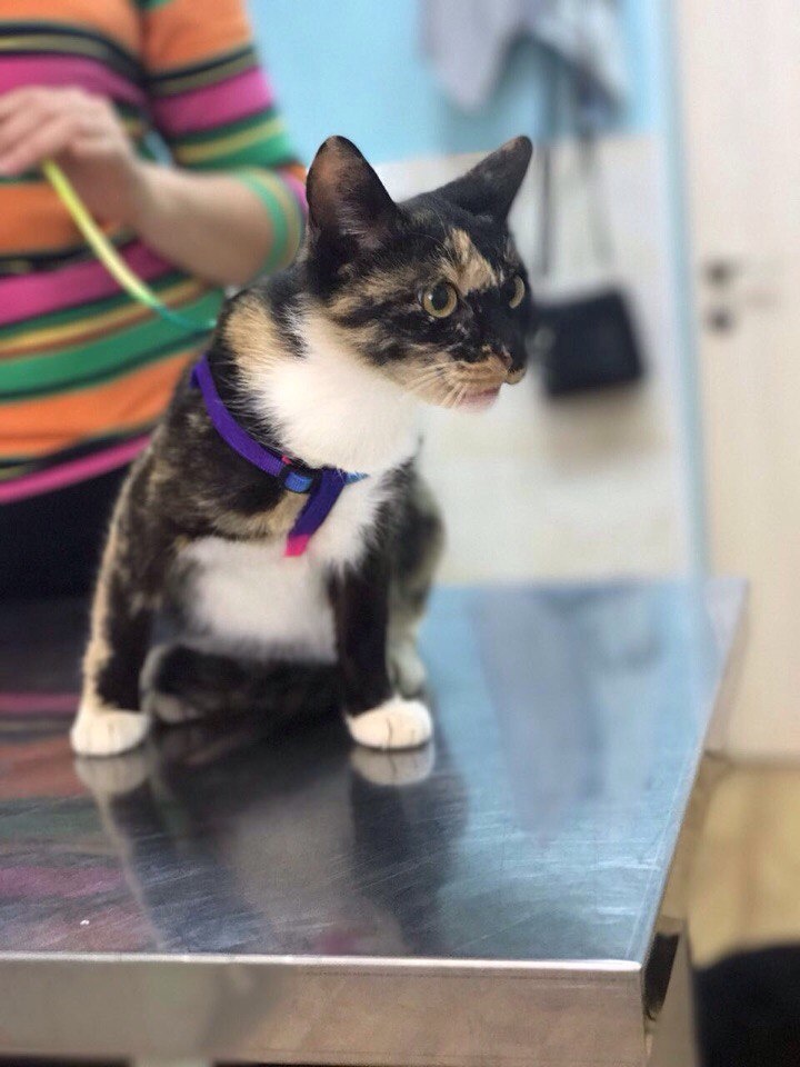 Ну мимо такой принцессы, конечно грех проехать