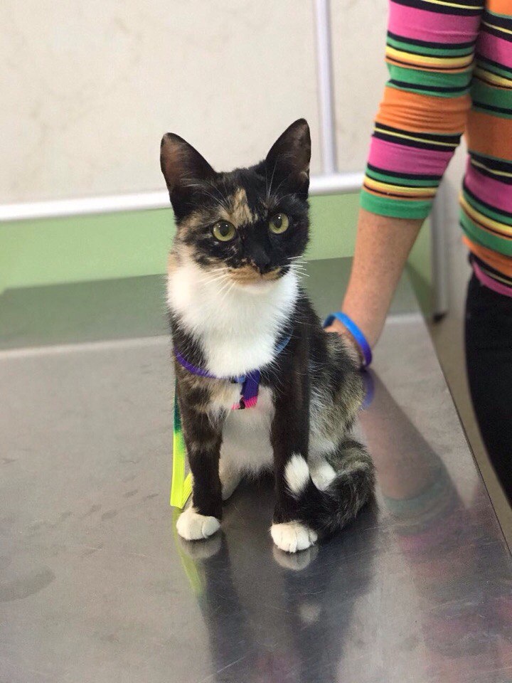 Вообще не понимаю, что это у вас такое за слово "Бояться"?