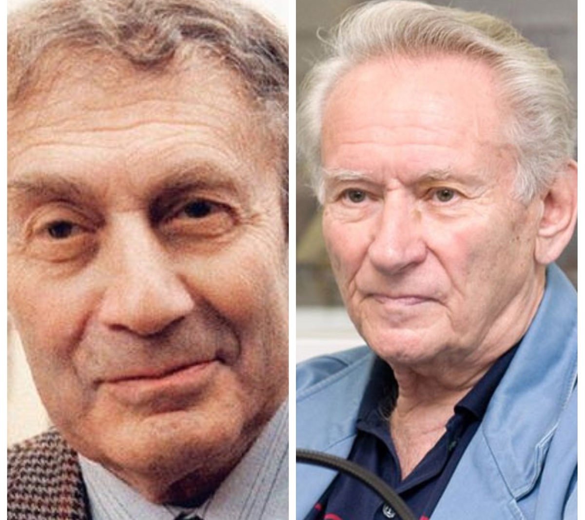 Георгий Бакланов / Генрих Боровик