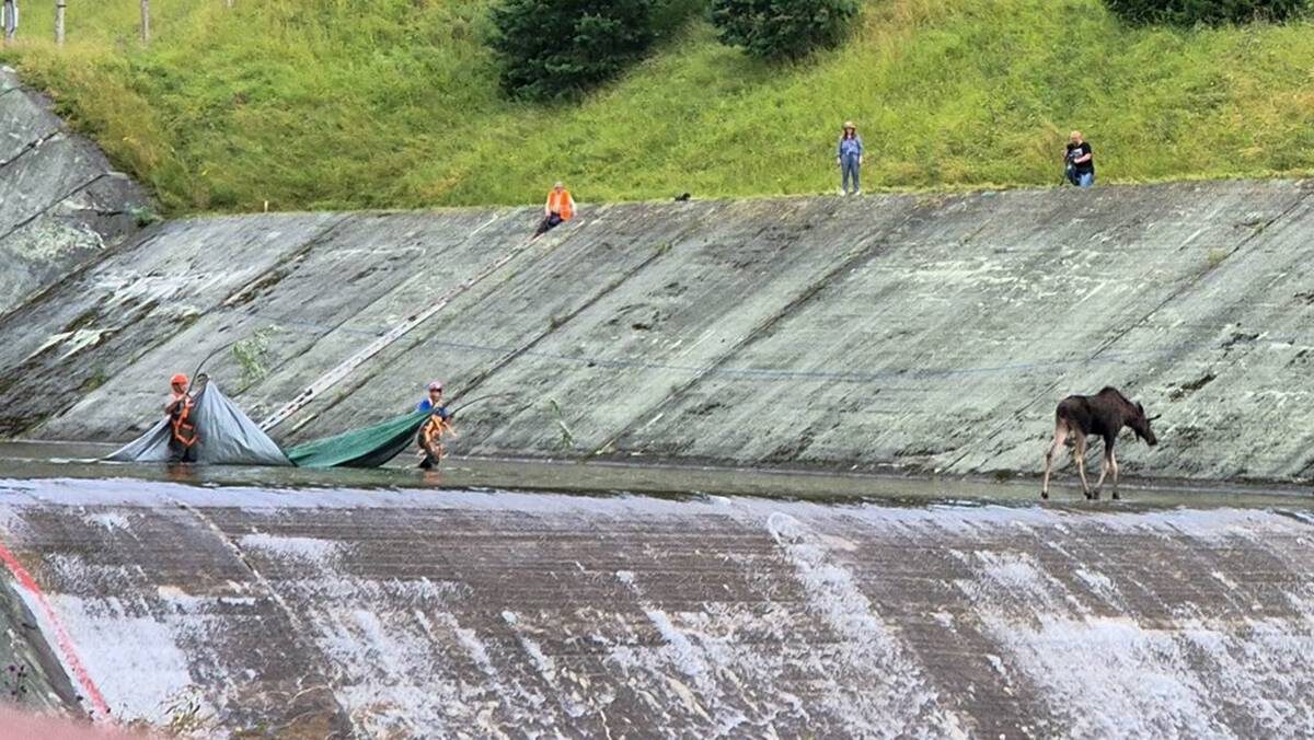    Фото: Денис Воронин / АГН Москва