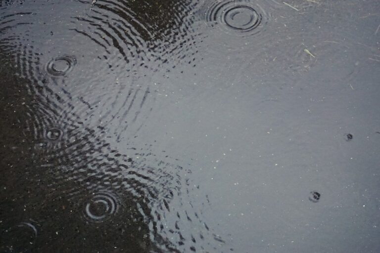    Фото: pixabay.com/uschel Илья Федоров