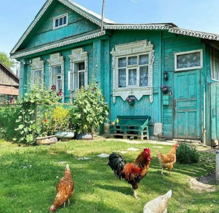 Фото из Яндекс