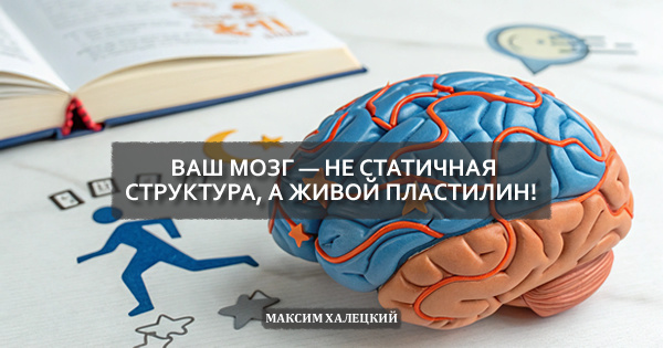 Что такое нейропластичность: ваш мозг — не статичная структура, а живой пластилин!