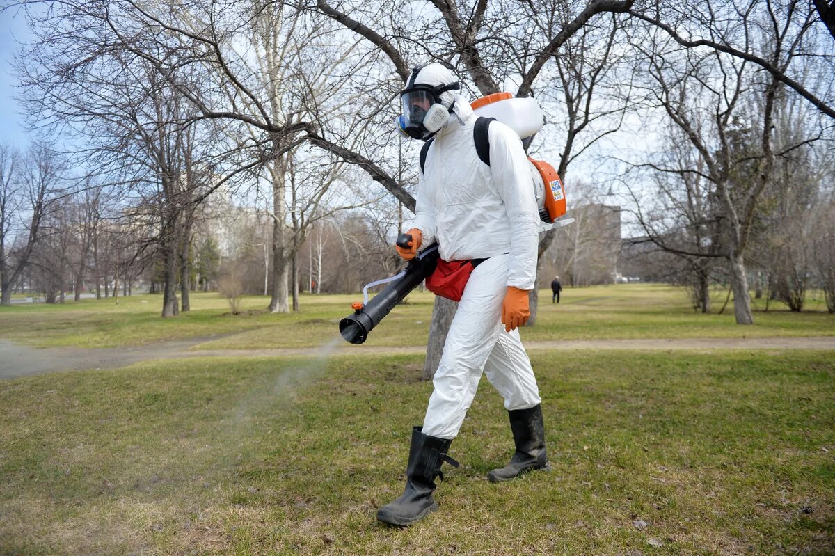 Профилактика распространения клещей