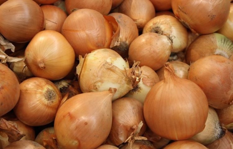    Фото: Минсельхоз Ставропольского края