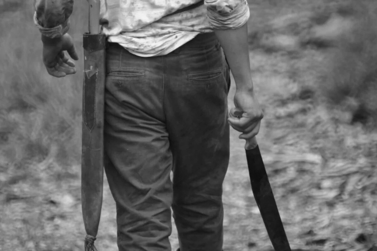    В Петербурге осудят иностранца, нанесшего мужчине 6 ударов мачете