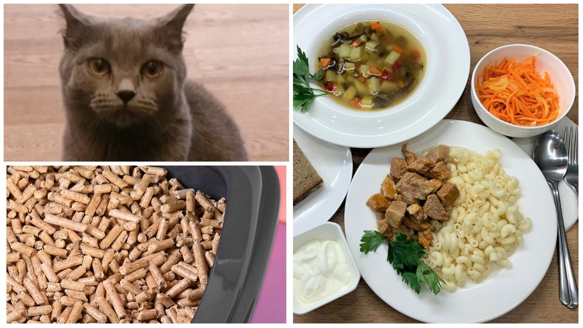 Это мой стол, я здесь главная!