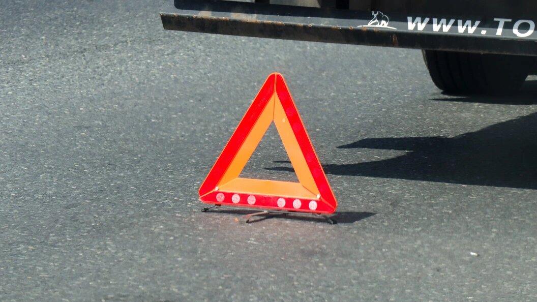    Фото: Elena Mayorova/Globallookpress