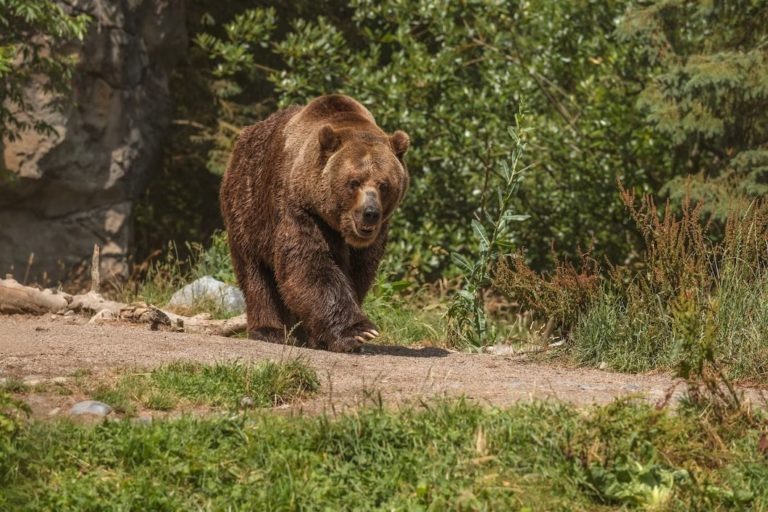   Фото: freepik.com/wirestock Илья Федоров