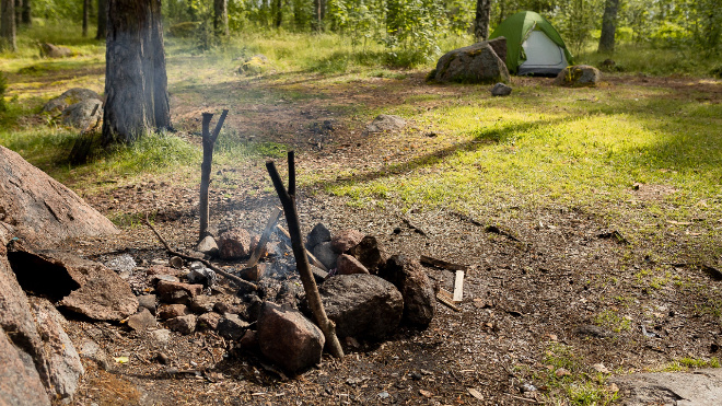 Фото: Дирекция ООПТ Ленинградской области