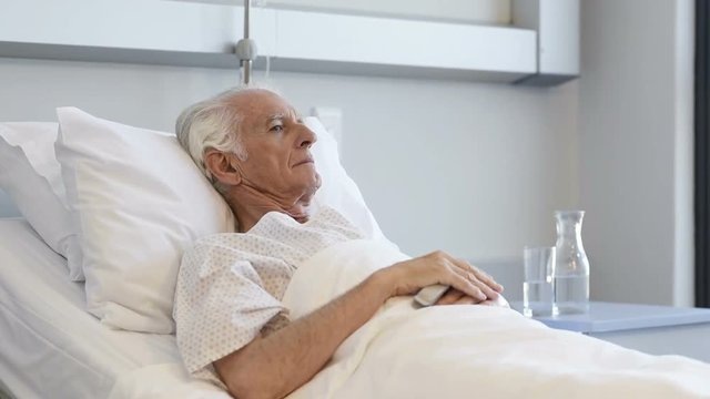 Изображение из открытого доступа. 