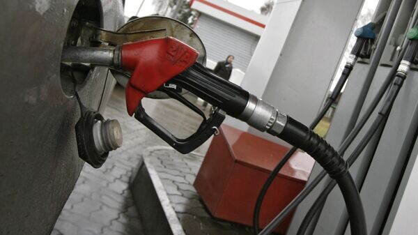    © Sputnik / Maxim Bogodvid