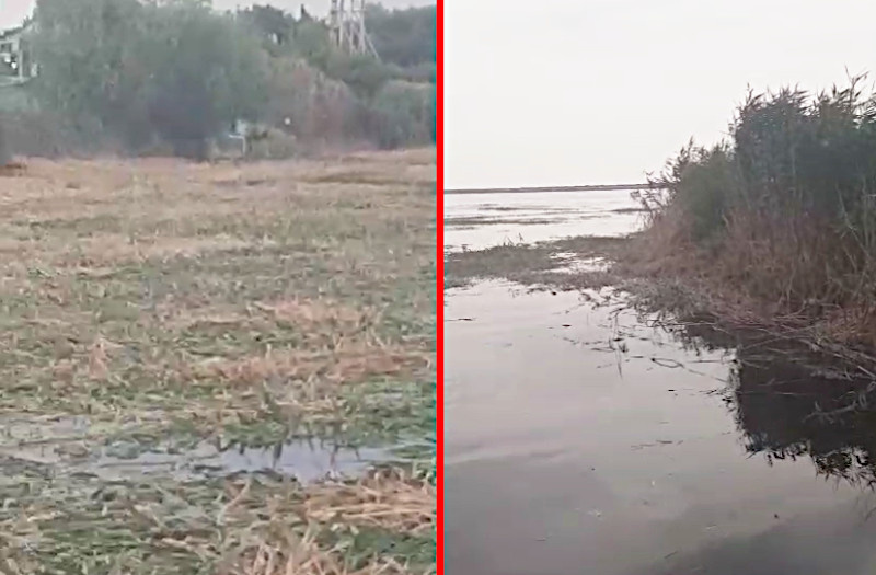    Скриншот с кадров видеозаписи