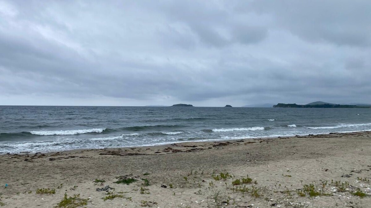     Источник: vostokmedia.com