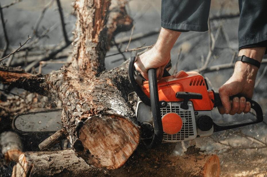    Shutterstock/FOTODOM