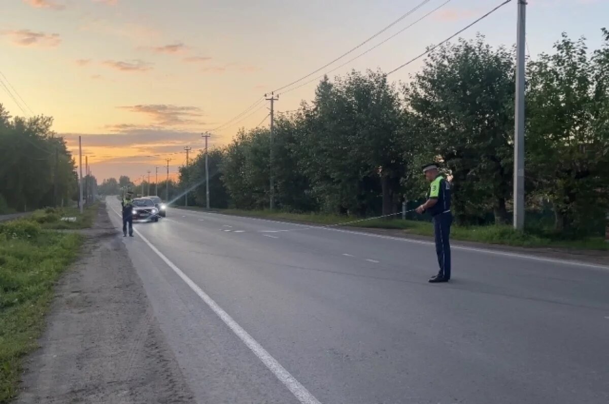    На Урале пьяная автомобилистка пыталась объехать кошку, пострадал ребёнок